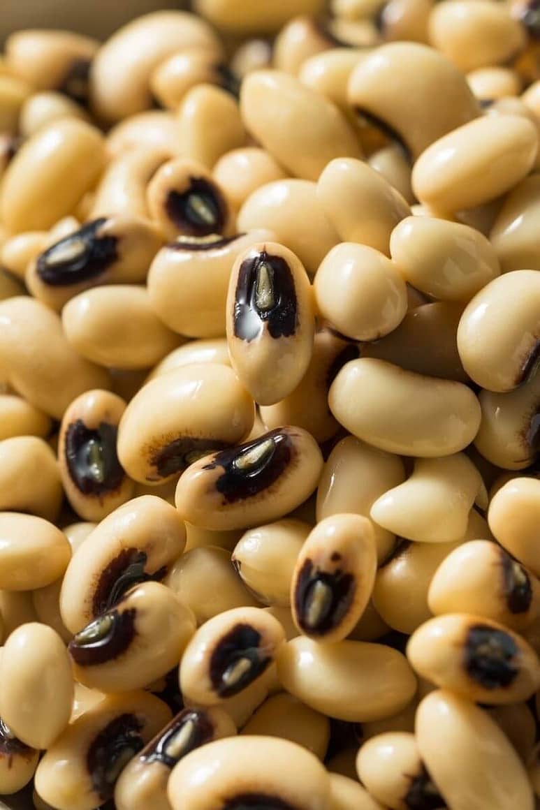 Black eye peas close up for reference to this section. 