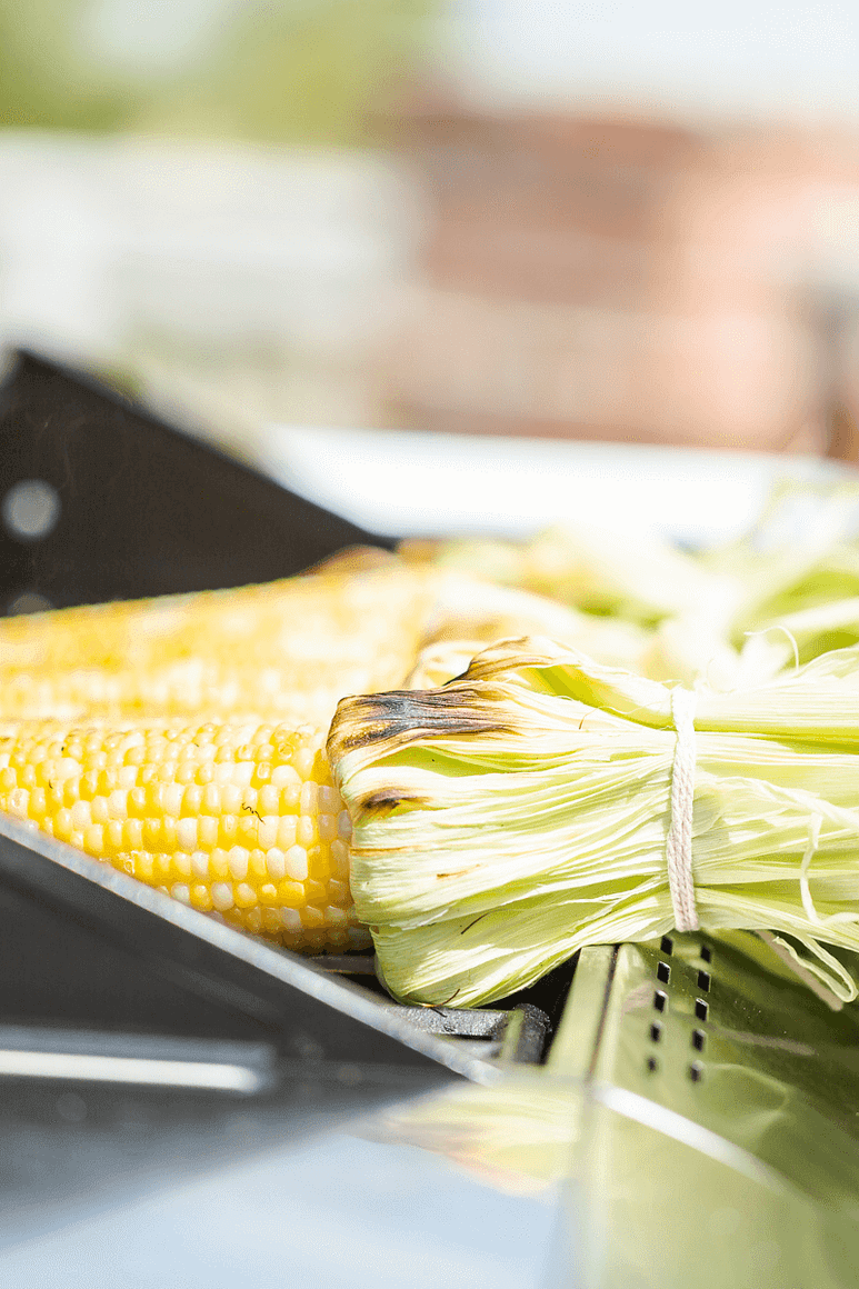 Corn with husk handles on the grill. Cooking corn for an elote recipe or street corn recipe. 