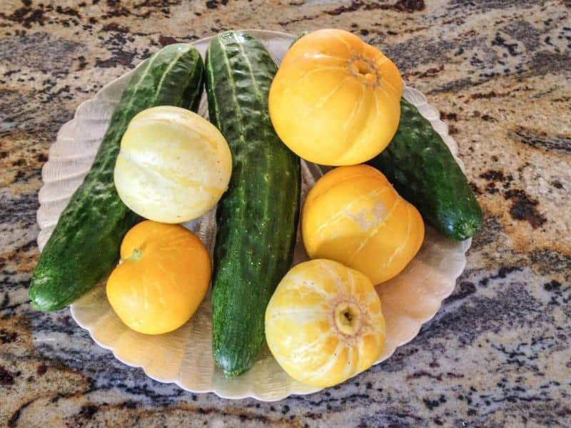 summer fruits and vegetables: cucumbers