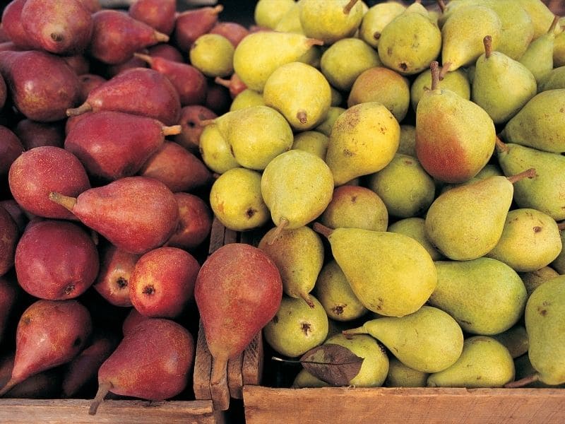 different types of pears: august fruits