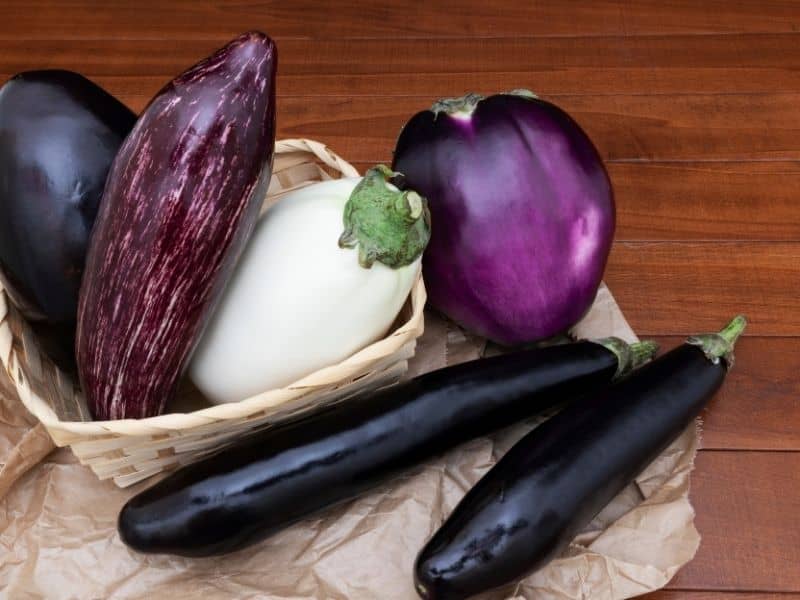 eggplants are the best august vegetables. 