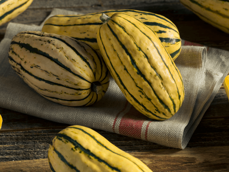 delicata squash is a type of produce in season in September. 