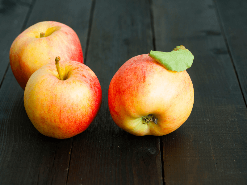 fruits in season in September: apples are a part of the fall fruits and vegetables.
