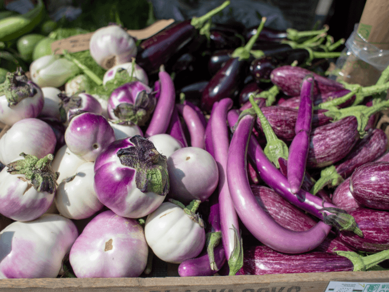 Vegetables in season in September : Eggplants