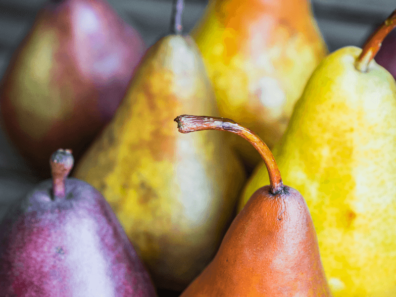 These different pears are fruits in season in September